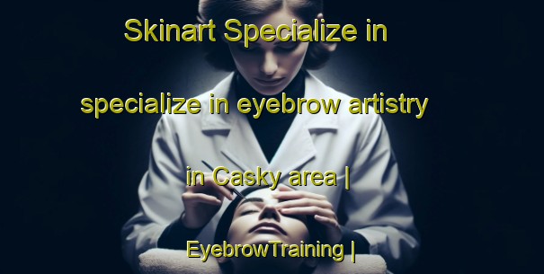 Skinart Specialize in specialize in eyebrow artistry in Casky area | EyebrowTraining | EyebrowClasses | SkinartTraining-United States